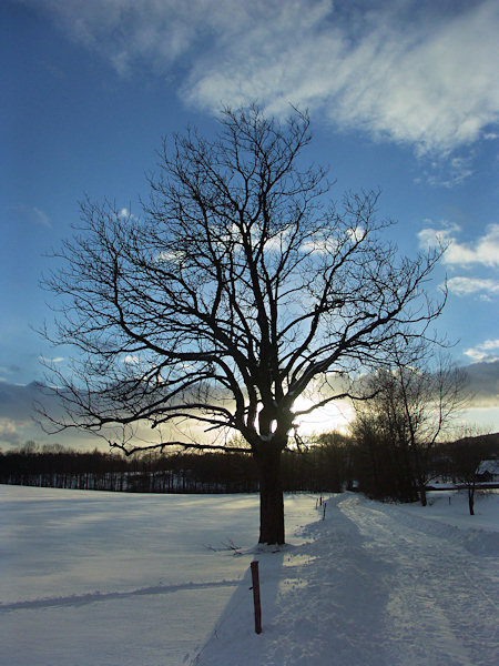 Before sunset.