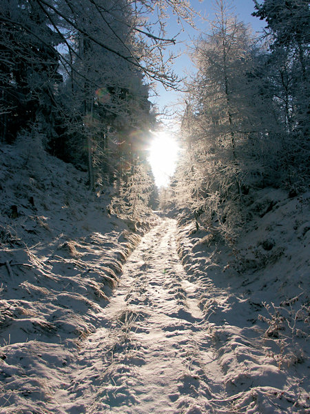 A wintery way showing the sun.