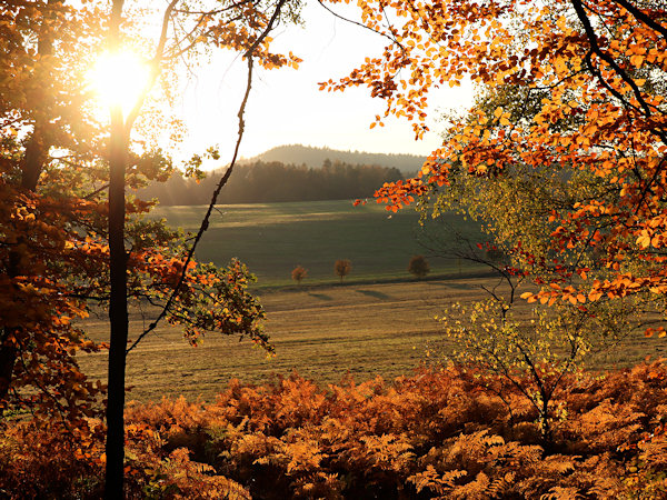 Goldener früher Abend bei Jítrava (Deutsch Pankratz).