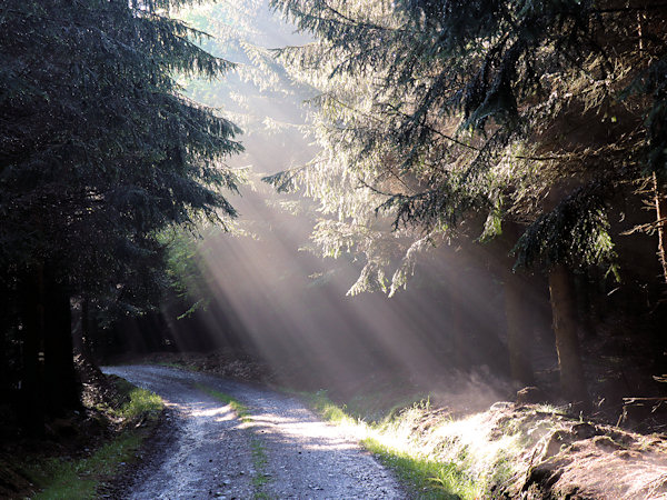 Sun rays after rain under Velká Tisová.