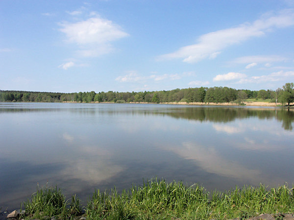 The pond Světlík near Horní Podluží.