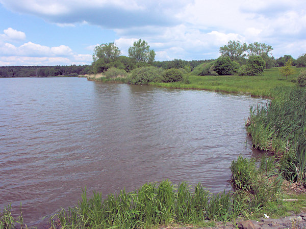 The pond Světlík near Horní Podluží.