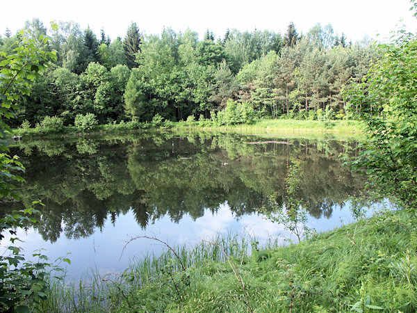 A pond on the Křinice-brook above Krásná Lípa.