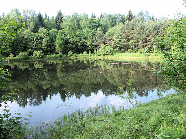 Teich an der Křinice (Kirnitzsch) oberhalb von Krásná Lípa (Schönlinde).