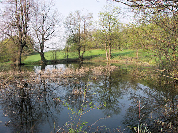 The pond under the ruins of castle Tolštejn.