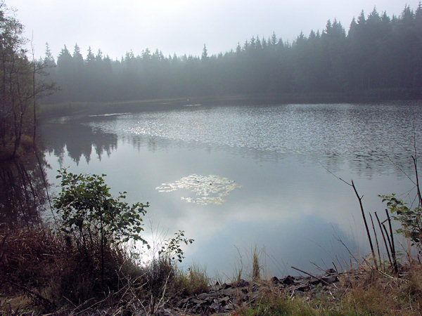 Malý Jedlovský rybník v dopolední mlze.
