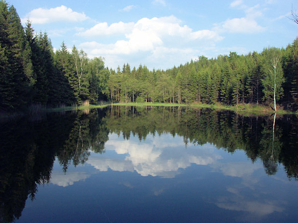 Malý Jedlovský rybník.