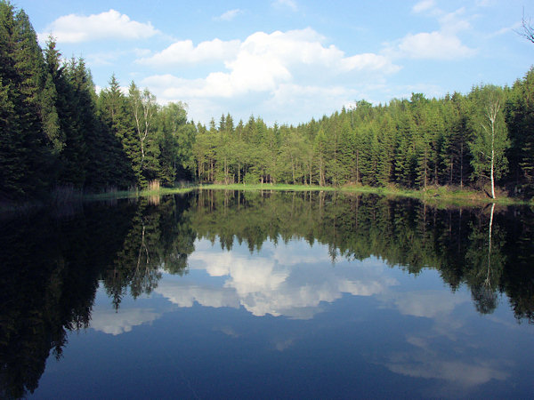 Der Malý Jedlovský rybník (Kleiner Tannteich).