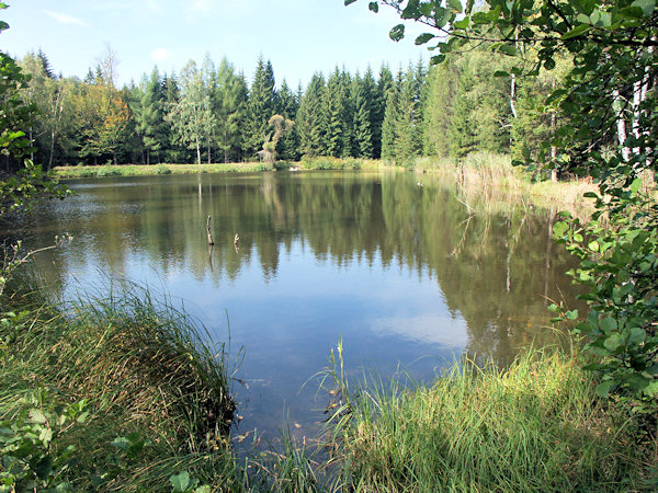 The pond Malý Jedlovský rybník.