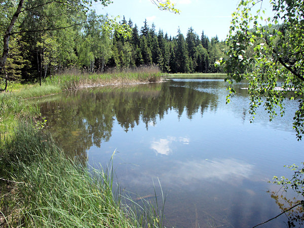 The pond Velký Jedlovský rybník.