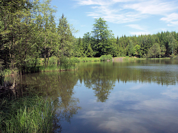 Der Velký Jedlovský rybník (Grosser Tannteich).