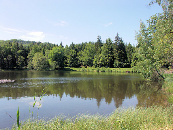 The pond Velký Jedlovský rybník.