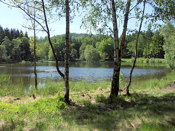 On the beach of the pond Velký Jedlovský rybník.