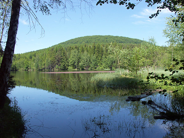 The pond Hraniční rybník.