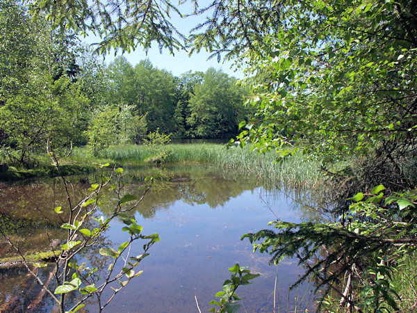 At the pond Hraniční rybník.