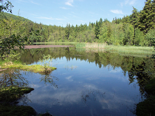 The pond Hraniční rybník.