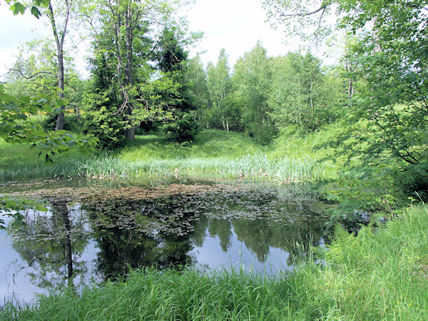 A small pond near of Nová Huť.