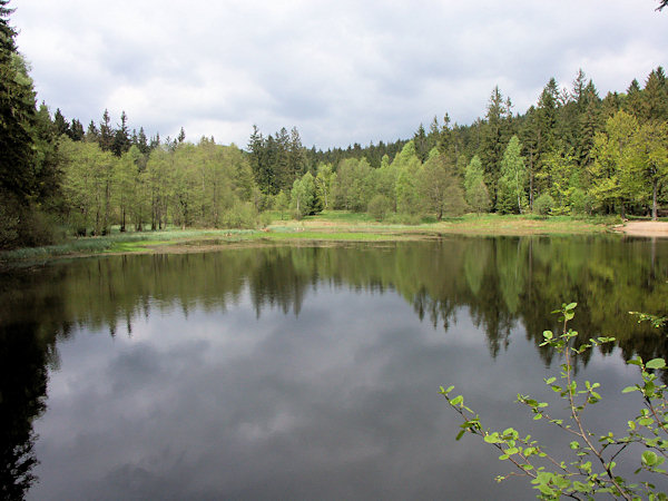 Der Teich Svorský rybník (Röhrsdorfer Teich).