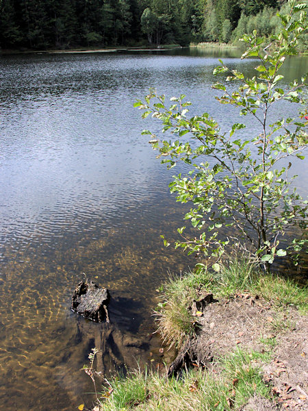 On the shore of the dam near of Naděje.