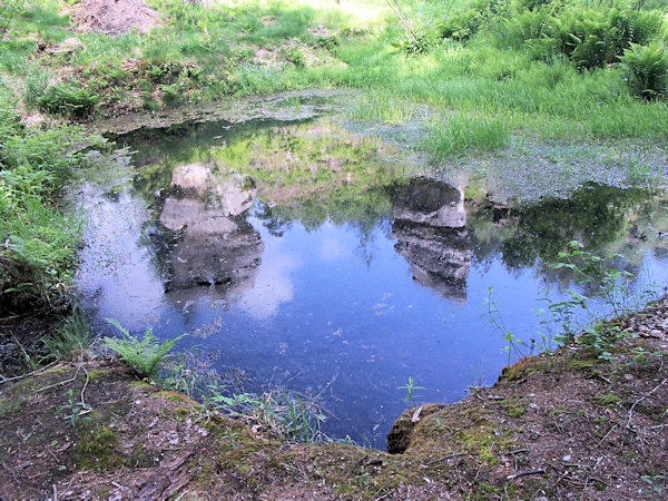 Rocks reflected in the small pond at Třídomí.