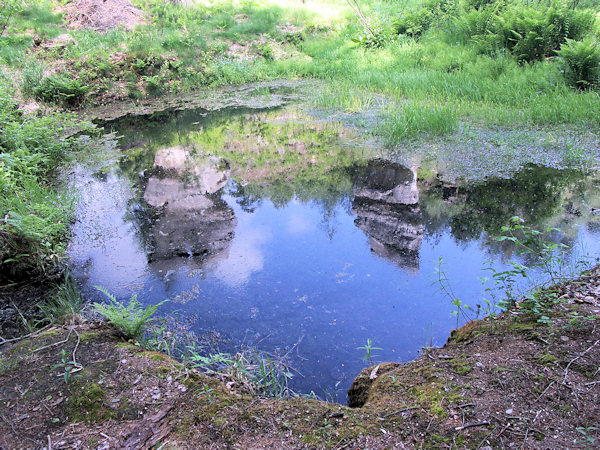 Im Tümpel bei Třídomí (Dreihäuser) spiegeln sich die Felsen.