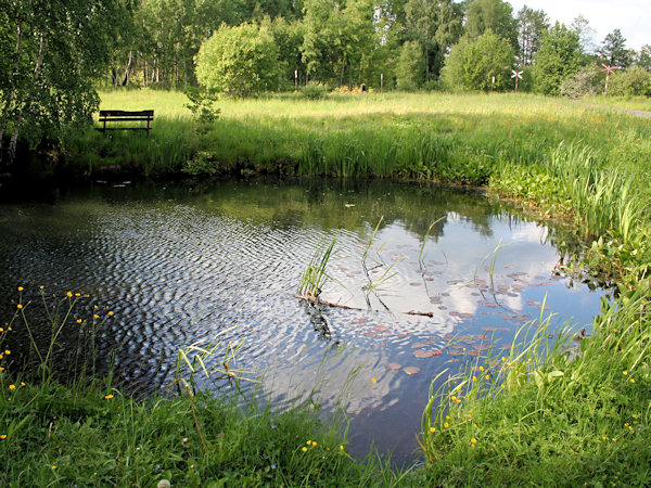 A small pond at Rybniště.