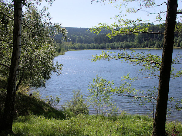Spring at the Chřibská dam.