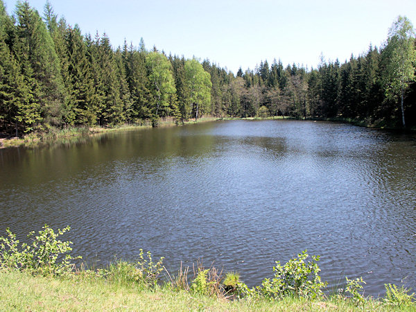 The pond Malý Jedlovský rybník.