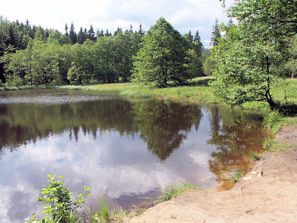 Der Teich Svorský rybník (Röhrsdorfer Teich).