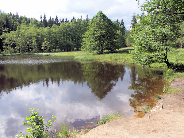 The pond Svorský rybník.