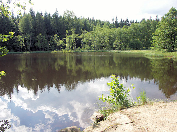 The pond Svorský rybník.