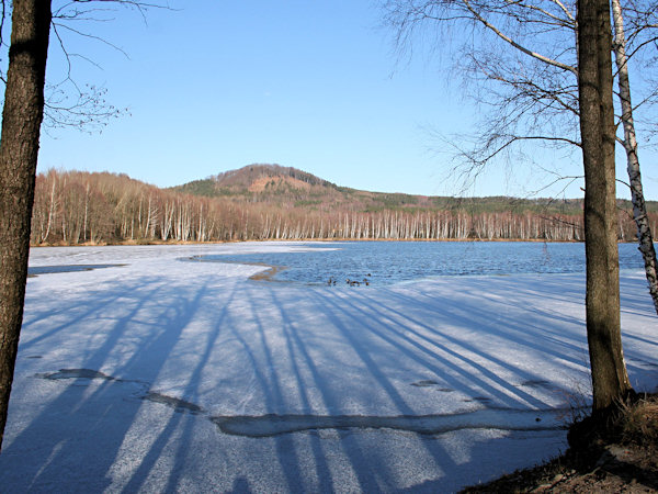 Shadows on the frozen pond Radvanecký rybník.