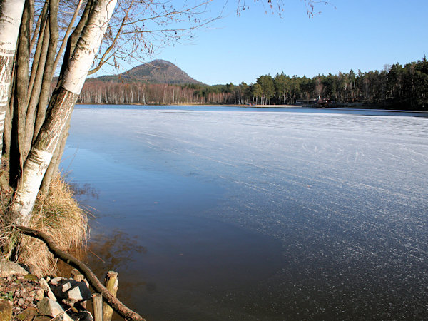 The pond Radvanecký rybník in early springtime.
