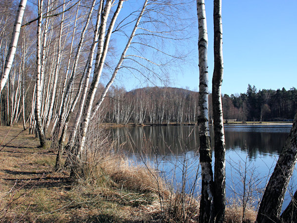 The pond Radvanecký rybník in early springtime.