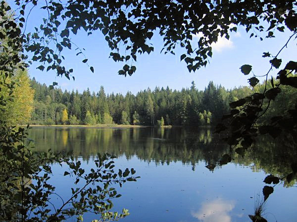 The pond Hraniční rybník.