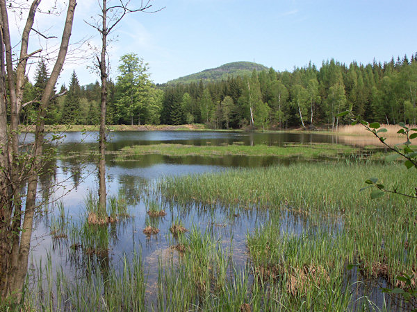 Der Velký Jedlovský rybník (Grosser Tannteich).