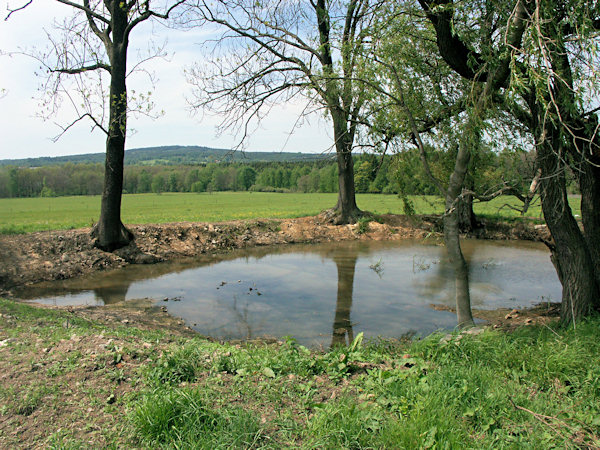 A small pool at the Světlický vrch-hill.