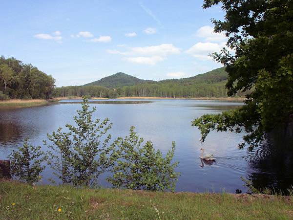 The pond Červený rybník near Pihel.