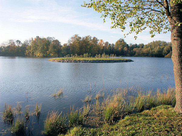 Der Teich Markvart (Markersdorfer Teich) bei Jablonné v Podještědí (Deutsch Gabel).