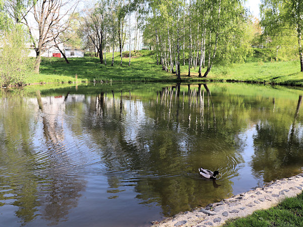 Rybník pod bývalou nemocnicí v Krásné Lípě.