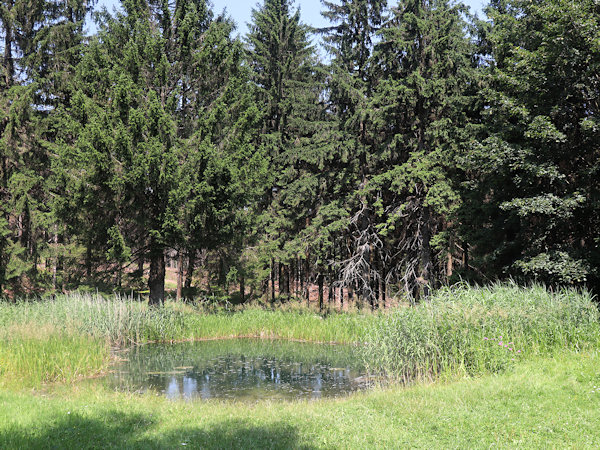 Pond in Myslivny under Luž mountain.