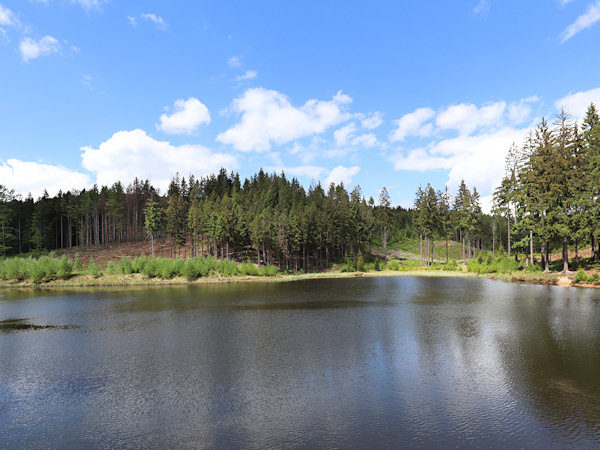 Bělský pond near Kytlice.