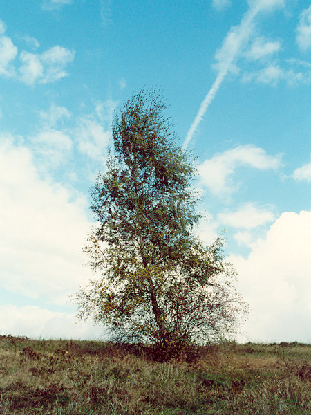 Vorboten des Herbstes.