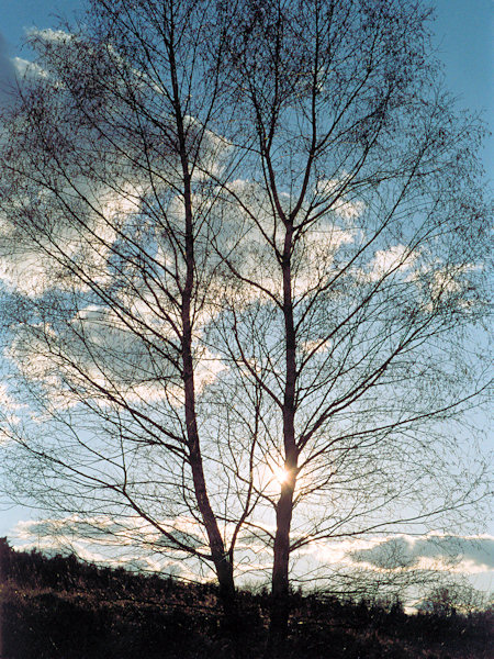 Evening in early spring.