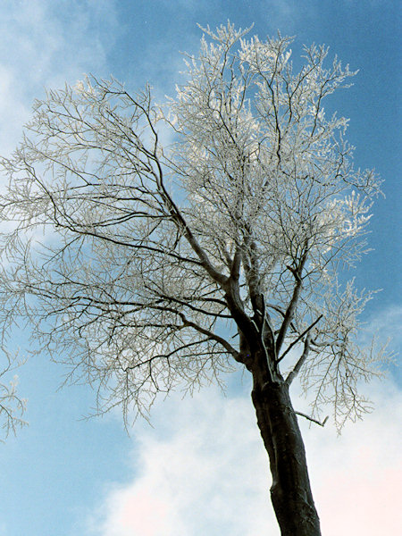 The sky above the Klíč hill.