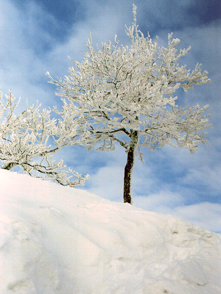 On the peak of the Klíč hill.