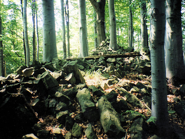 Der waldbewachsene Schuttgipfel des Tetřeví vrch bei Mlýny.