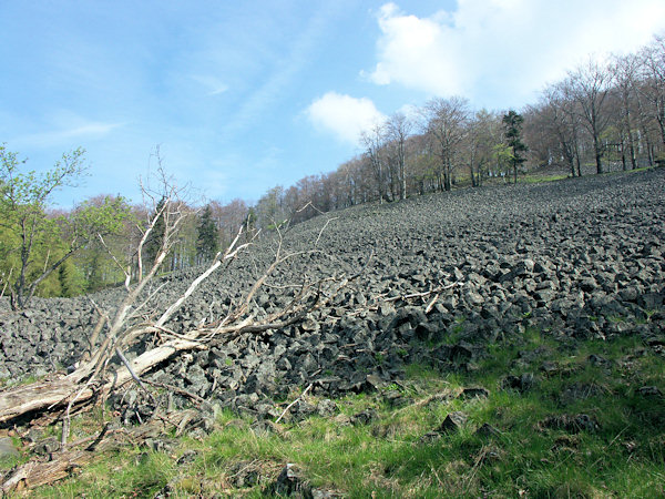 The slopes of Studenec hill are covered with vast fields of slope debris.