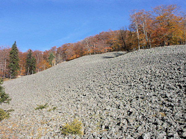 Suťová pole na Studenci jsou tvořena přibližně stejně velkými čedičovými kameny.