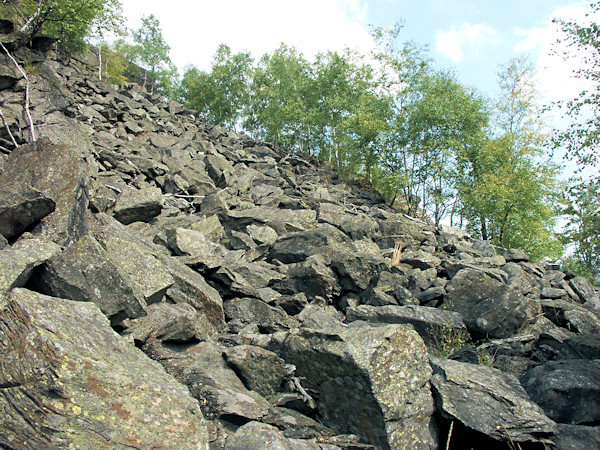 The fields on the slopes of Studenec hill covered by phonolithe debris consist of relatively great boulders with dimensions sometimes exceeding 1 meter.